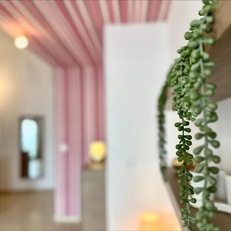 Sea View Apartments - Aheloy Ravda Room photo